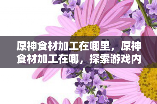 原神食材加工在哪里，原神食材加工在哪，探索游戏内的食材加工站