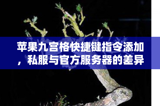 苹果九宫格快捷键指令添加，私服与官方服务器的差异，深度解析游戏世界的平行线