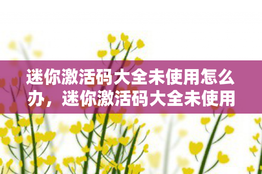 迷你激活码大全未使用怎么办，迷你激活码大全未使用