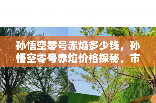 孙悟空零号赤焰多少钱，孙悟空零号赤焰价格探秘，市场价位与购买渠道分析