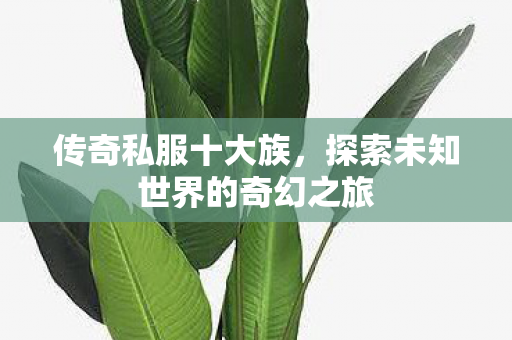 传奇私服十大族，探索未知世界的奇幻之旅
