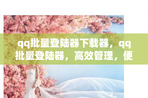 qq批量登陆器下载器，qq批量登陆器，高效管理，便捷操作