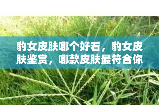 豹女皮肤哪个好看，豹女皮肤鉴赏，哪款皮肤最符合你的审美？
