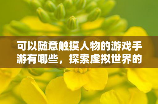 可以随意触摸人物的游戏手游有哪些，探索虚拟世界的奇妙之旅，触摸人物的游戏手游