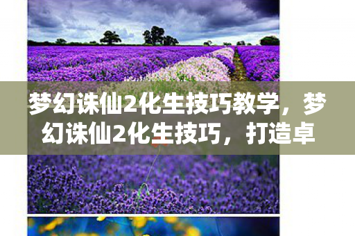 梦幻诛仙2化生技巧教学，梦幻诛仙2化生技巧，打造卓越宠物的秘诀
