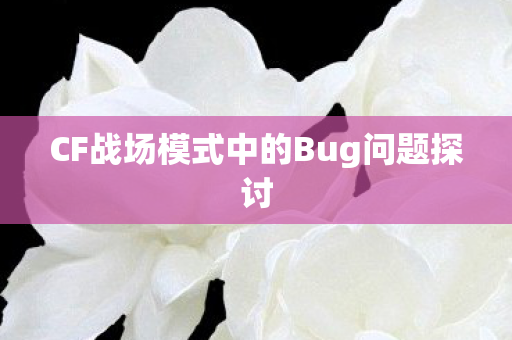 CF战场模式中的Bug问题探讨