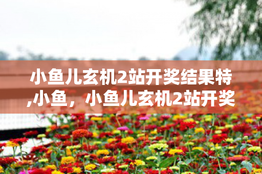 小鱼儿玄机2站开奖结果特,小鱼，小鱼儿玄机2站开奖结果，揭秘数字背后的玄机