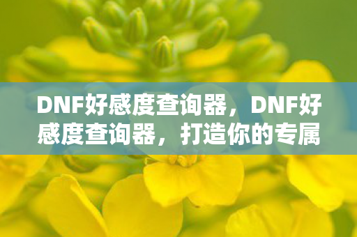 DNF好感度查询器，DNF好感度查询器，打造你的专属NPC互动指南
