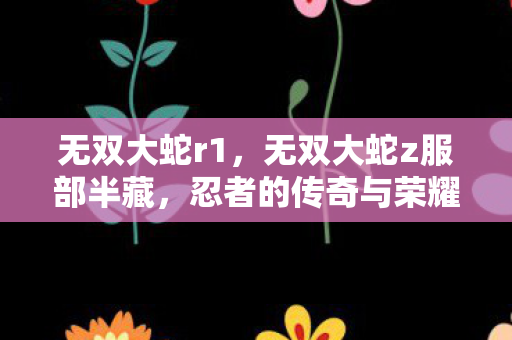 无双大蛇r1，无双大蛇z服部半藏，忍者的传奇与荣耀