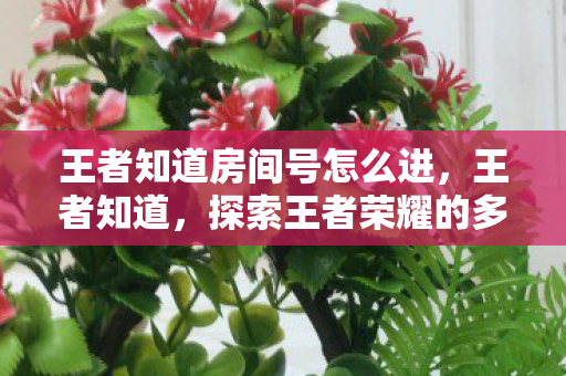 王者知道房间号怎么进，王者知道，探索王者荣耀的多元魅力与社区文化