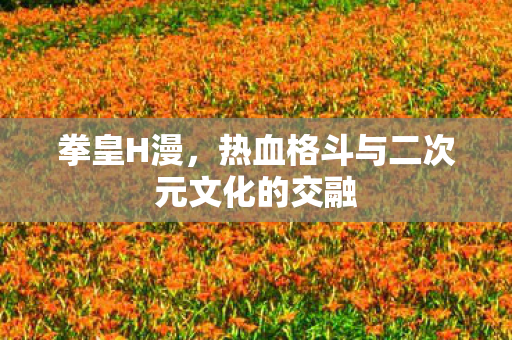 拳皇H漫,热血格斗与二次元文化的交融 拳皇H漫,热血格斗与二次元文化的交融