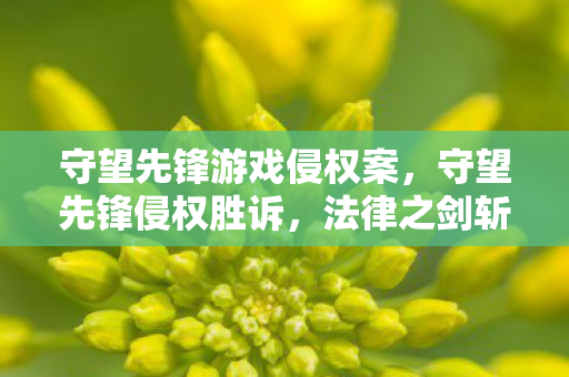 守望先锋游戏侵权案，守望先锋侵权胜诉，法律之剑斩断盗版灰色产业链