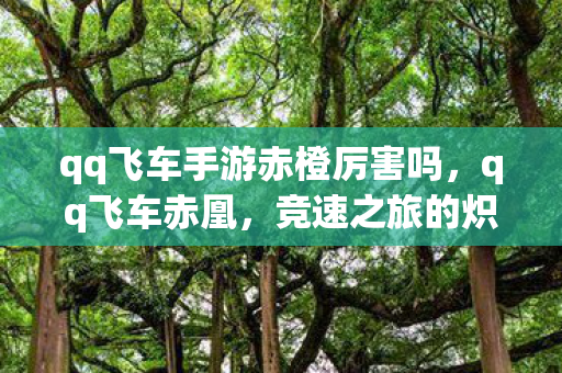 qq飞车手游赤橙厉害吗，qq飞车赤凰，竞速之旅的炽热火焰