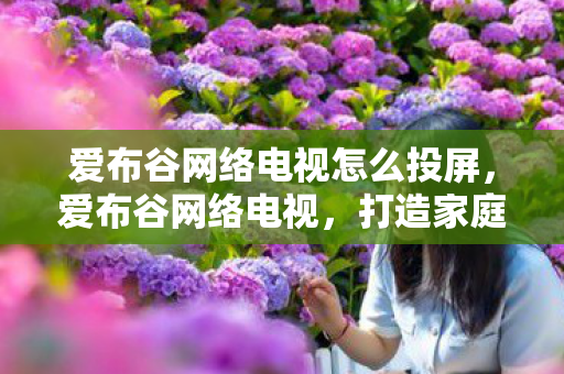 爱布谷网络电视怎么投屏，爱布谷网络电视，打造家庭娱乐新体验
