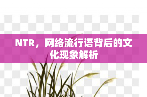 NTR，网络流行语背后的文化现象解析