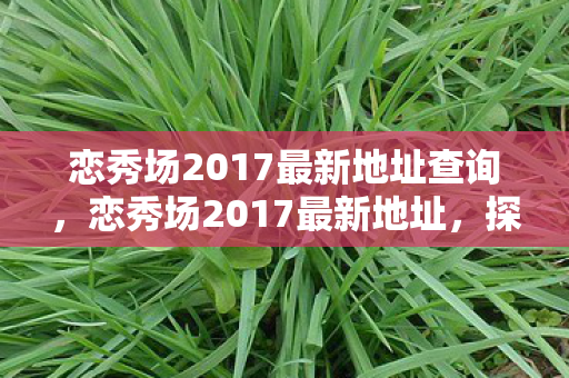 恋秀场2017最新地址查询，恋秀场2017最新地址，探索娱乐新境界