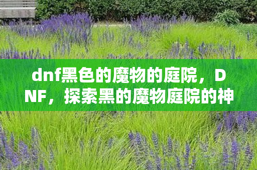 dnf黑色的魔物的庭院，DNF，探索黑的魔物庭院的神秘之旅