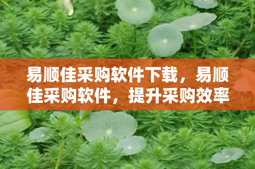 易顺佳采购软件下载，易顺佳采购软件，提升采购效率，优化企业运营
