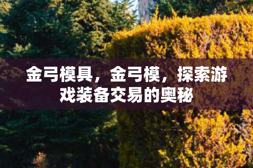 金弓模具，金弓模，探索游戏装备交易的奥秘