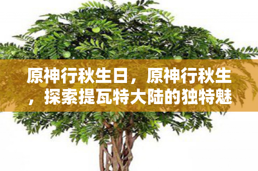 原神行秋生日，原神行秋生，探索提瓦特大陆的独特魅力