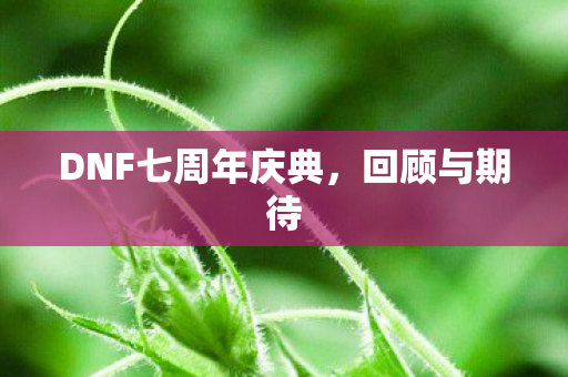 DNF七周年庆典，回顾与期待