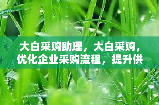 大白采购助理，大白采购，优化企业采购流程，提升供应链效率