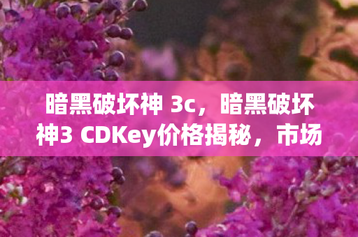 暗黑破坏神 3c，暗黑破坏神3 CDKey价格揭秘，市场现状与分析