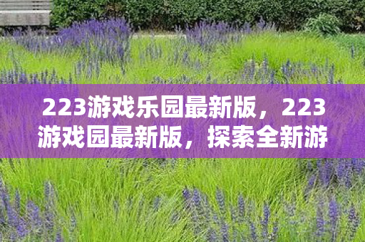 223游戏乐园最新版，223游戏园最新版，探索全新游戏体验的无限可能