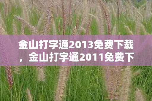 金山打字通2013免费下载，金山打字通2011免费下载，提升打字速度，轻松应对日常办公