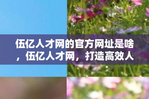 伍亿人才网的官方网址是啥，伍亿人才网，打造高效人才招聘平台的秘诀