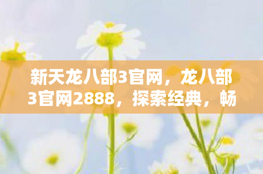 新天龙八部3官网，龙八部3官网2888，探索经典，畅游武侠世界