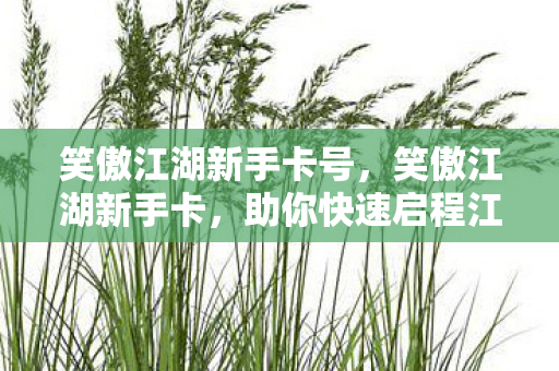 笑傲江湖新手卡号，笑傲江湖新手卡，助你快速启程江湖之旅
