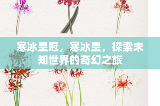 寒冰皇冠，寒冰皇，探索未知世界的奇幻之旅