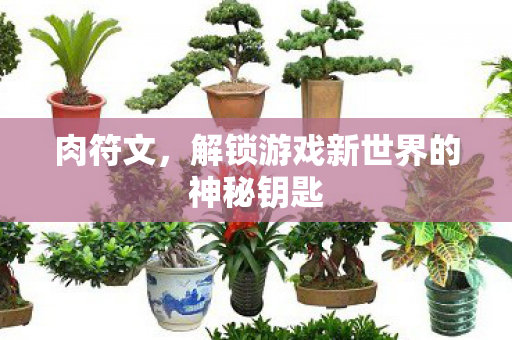 肉符文，解锁游戏新世界的神秘钥匙