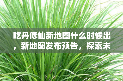 吃丹修仙新地图什么时候出，新地图发布预告，探索未知世界的神秘之旅
