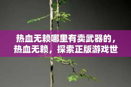 热血无赖哪里有卖武器的，热血无赖，探索正版游戏世界的奇妙之旅
