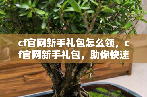 cf官网新手礼包怎么领，cf官网新手礼包，助你快速启程的福利
