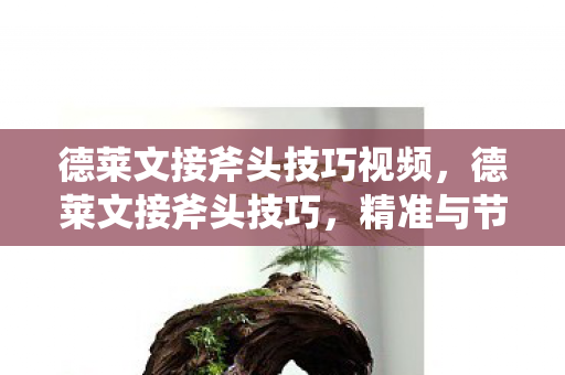 德莱文接斧头技巧视频，德莱文接斧头技巧，精准与节奏的完美融合