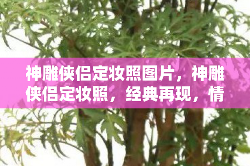 神雕侠侣定妆照图片，神雕侠侣定妆照，经典再现，情怀永存