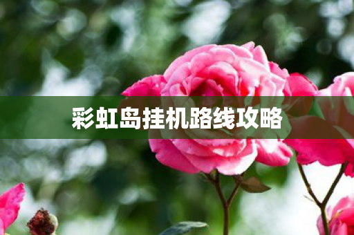 彩虹岛挂机路线攻略