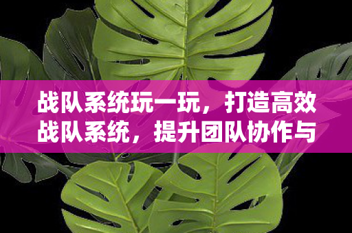 战队系统玩一玩，打造高效战队系统，提升团队协作与战斗力的关键