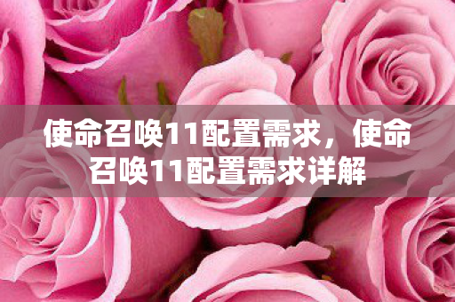 使命召唤11配置需求，使命召唤11配置需求详解