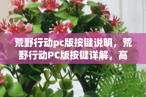 荒野行动pc版按键说明，荒野行动PC版按键详解，高效操作，助你称霸战场