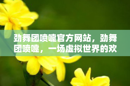 劲舞团喷嚏官方网站，劲舞团喷嚏，一场虚拟世界的欢乐盛宴