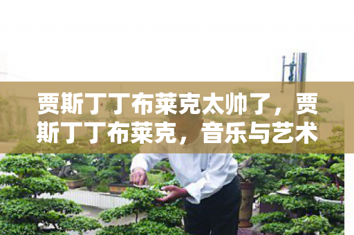 贾斯丁丁布莱克太帅了，贾斯丁丁布莱克，音乐与艺术的跨界探索