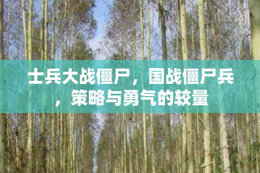 士兵大战僵尸，国战僵尸兵，策略与勇气的较量