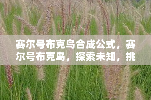 赛尔号布克鸟合成公式，赛尔号布克鸟，探索未知，挑战极限
