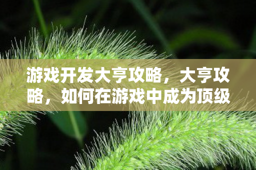 游戏开发大亨攻略，大亨攻略，如何在游戏中成为顶级玩家
