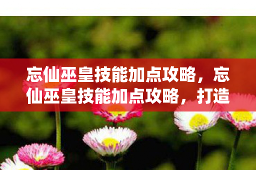 忘仙巫皇技能加点攻略，忘仙巫皇技能加点攻略，打造最强巫皇