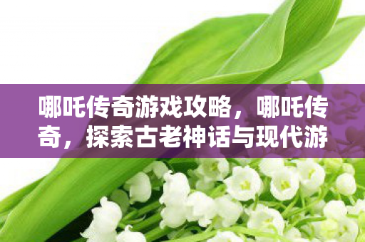 哪吒传奇游戏攻略，哪吒传奇，探索古老神话与现代游戏的奇妙融合